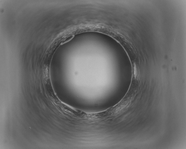 X0000073451492200608041014