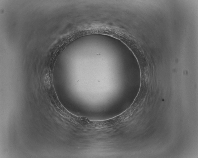 X0000073451493200608041014