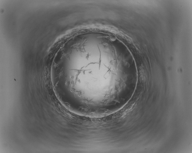 X0000073451494200608041014