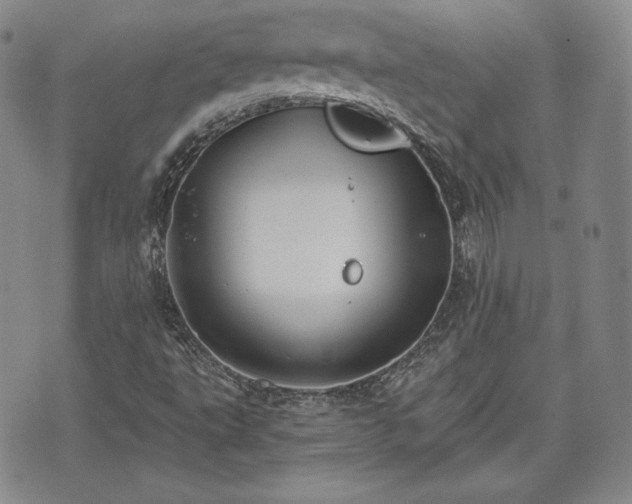 X0000073451495200608041014