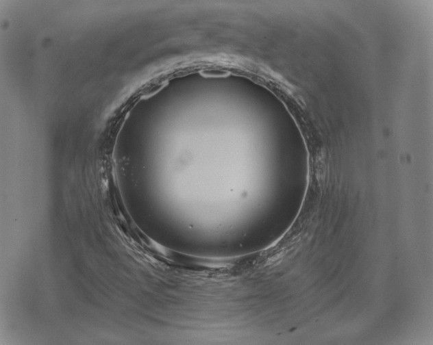 X0000073451496200608041014