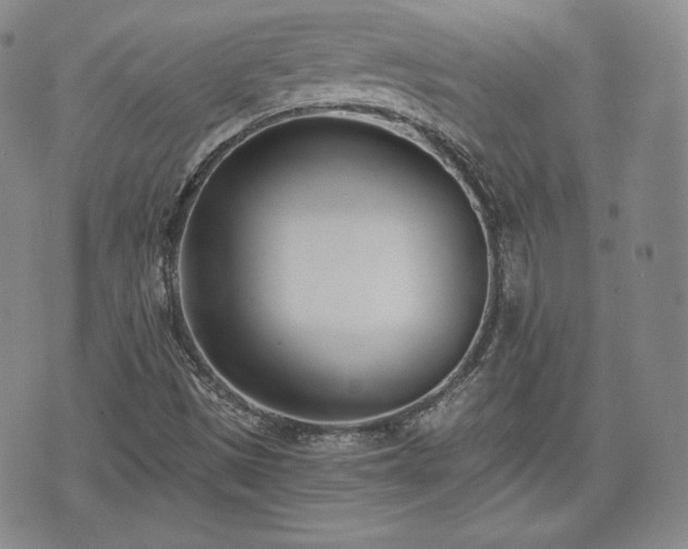 X0000073451497200608041014