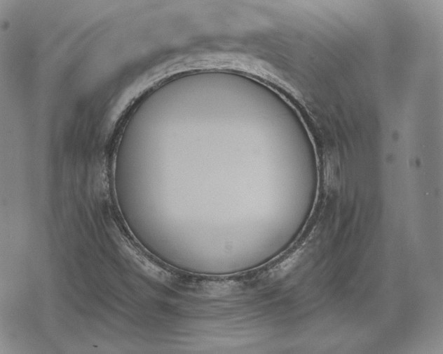 X0000073451498200608041014