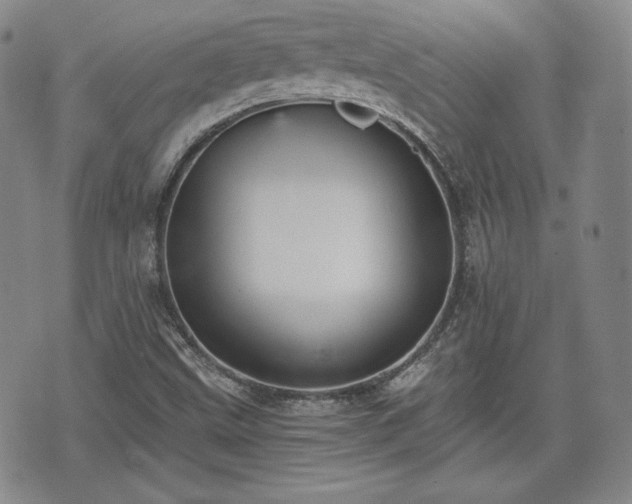 X0000073451499200608041014