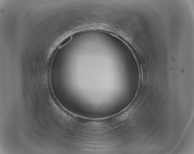 X0000073451500200608041014