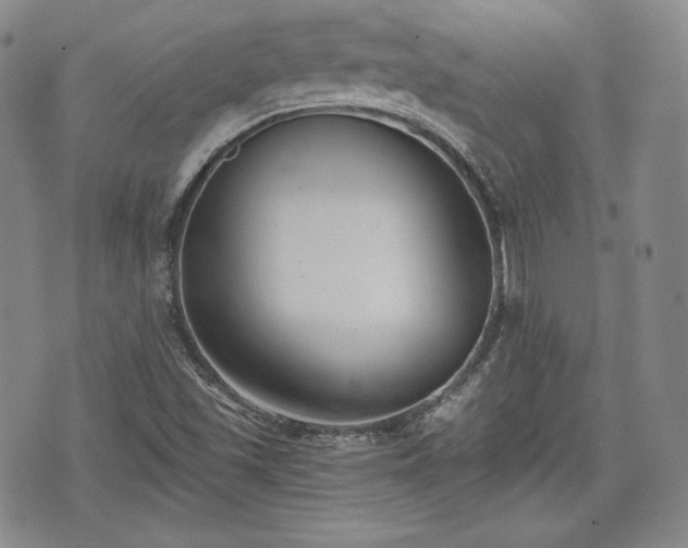 X0000073451501200608041014