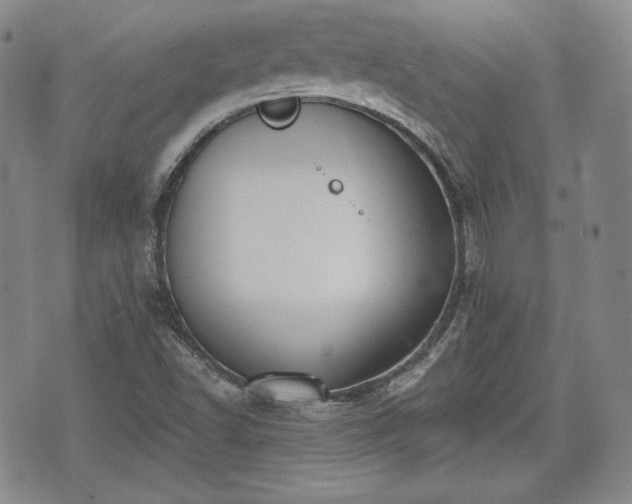 X0000073451502200608041014