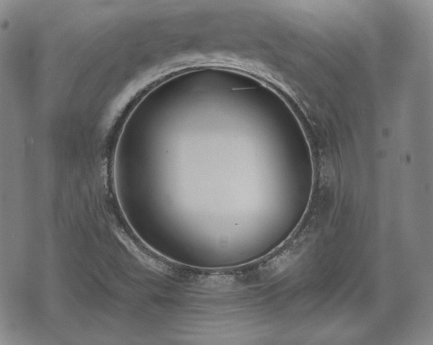 X0000073451503200608041014