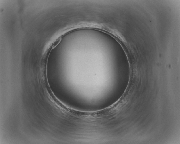 X0000073451504200608041014