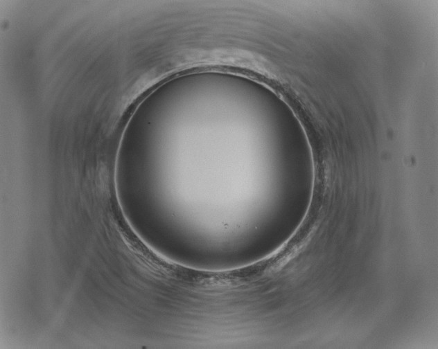 X0000073451505200608041014