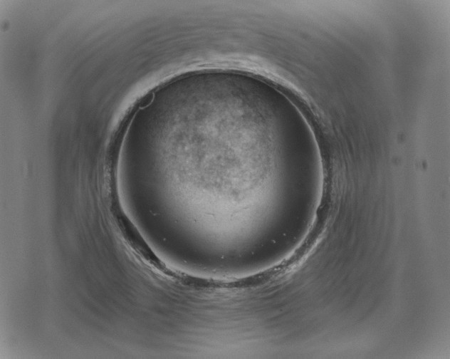 X0000073451506200608041014