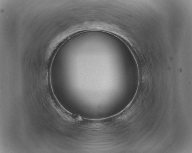 X0000073451507200608041014