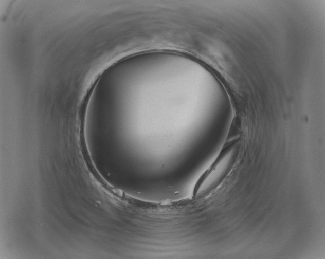 X0000073451508200608041014