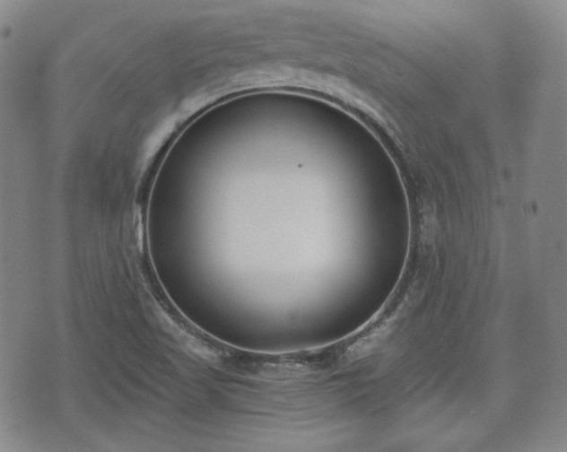 X0000073451509200608041014