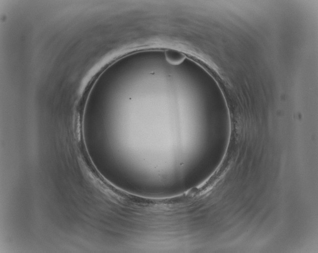 X0000073451510200608041014