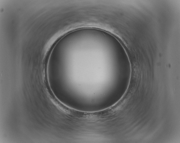 X0000073451511200608041014