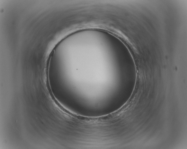 X0000073451512200608041015