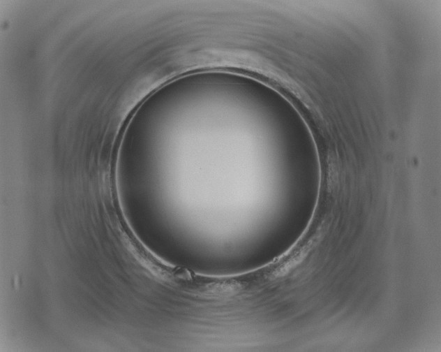 X0000073451513200608041015