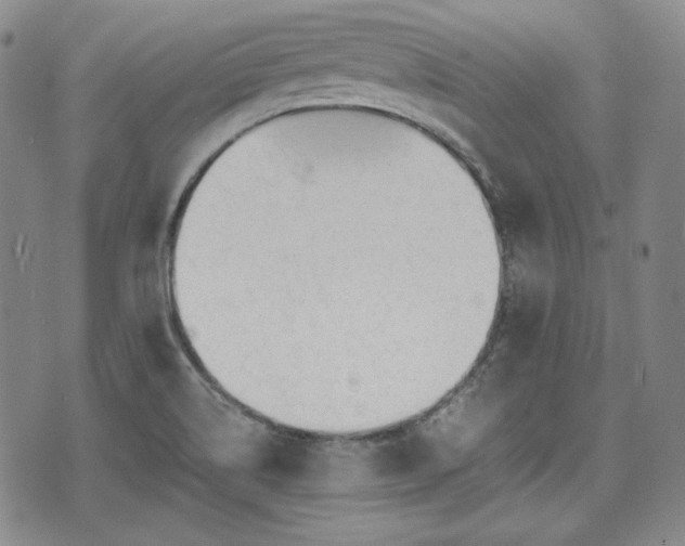 X0000073451514200608041015