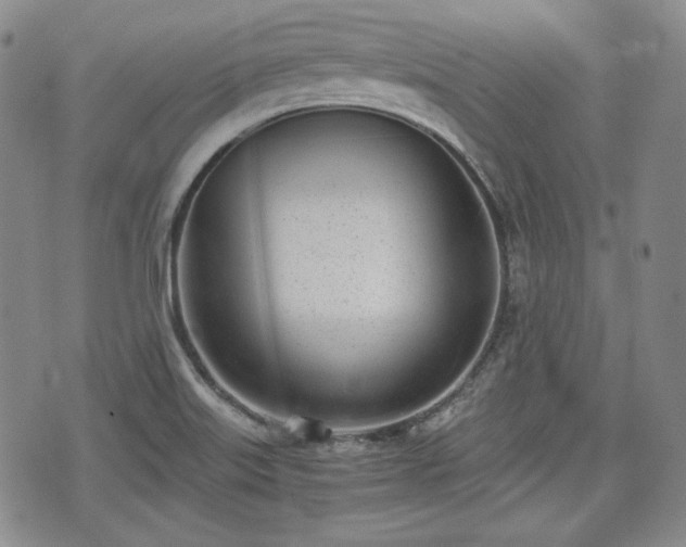 X0000073451515200608041015