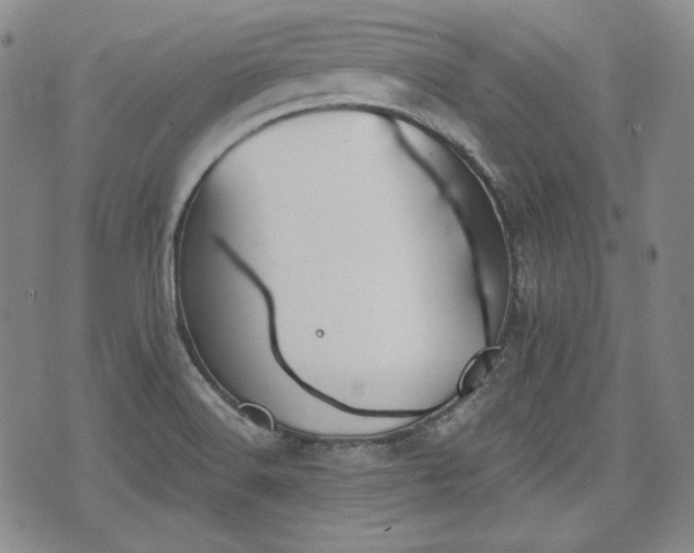 X0000073451516200608041015