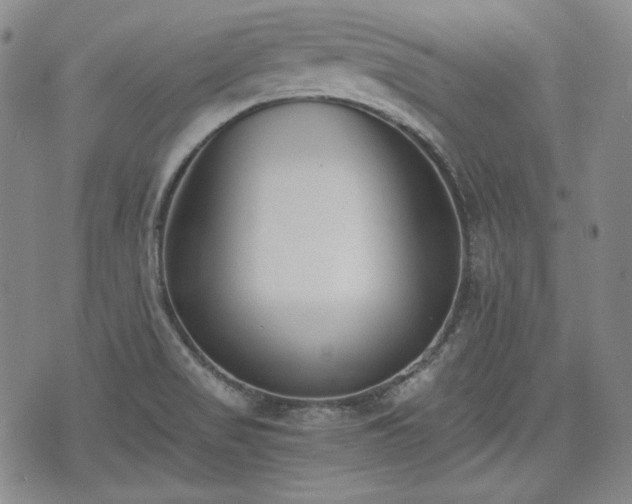 X0000073451517200608041015