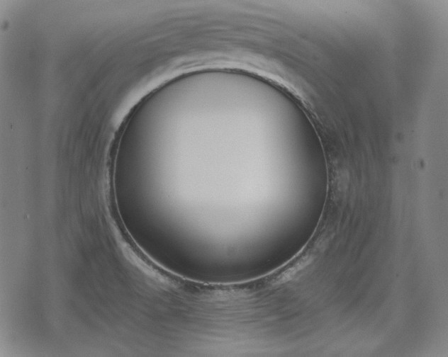 X0000073451518200608041015