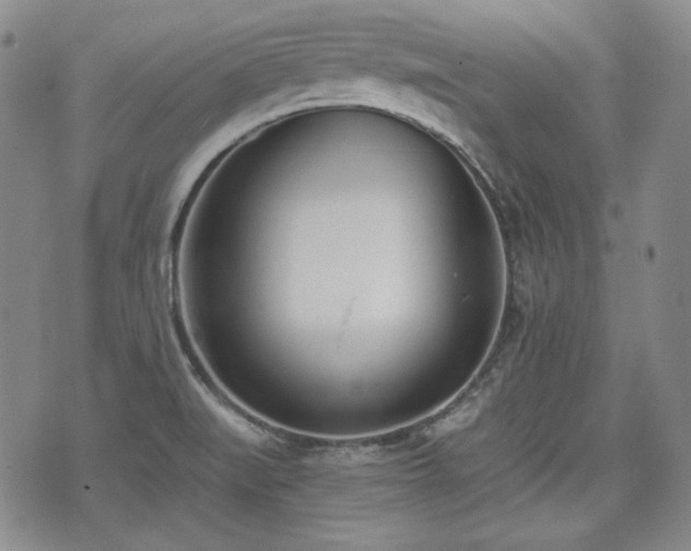 X0000073451519200608041015