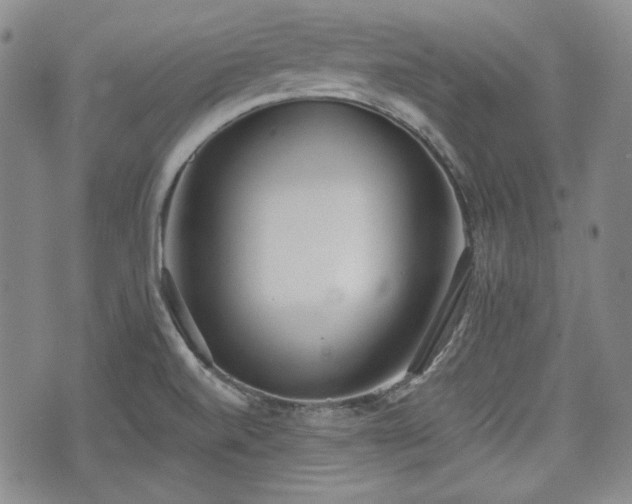 X0000073451520200608041015