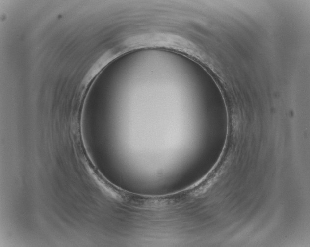 X0000073451521200608041015