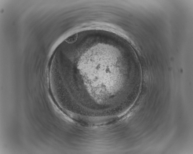 X0000073451522200608041015