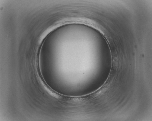 X0000073451523200608041015