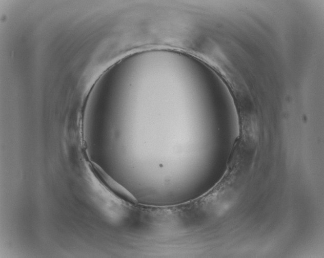 X0000073451524200608041015