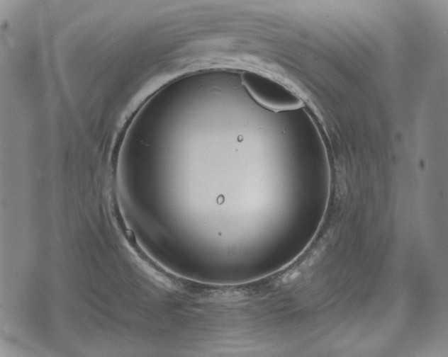 X0000073451525200608041015