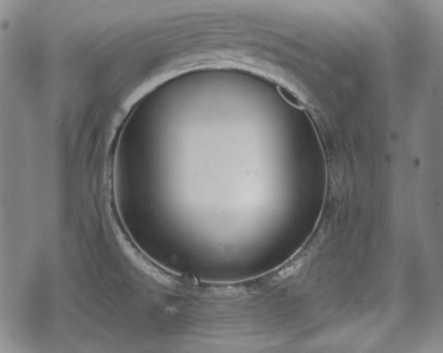 X0000073451526200608041015