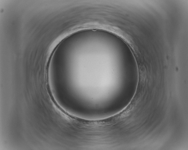 X0000073451527200608041015