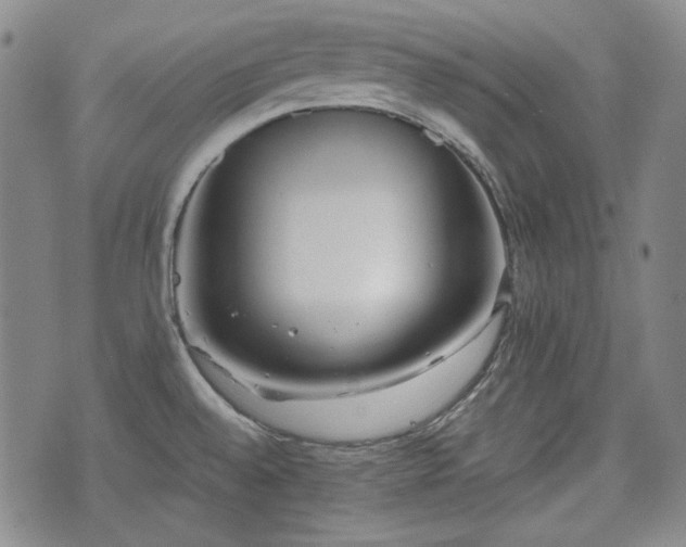 X0000073451528200608041015