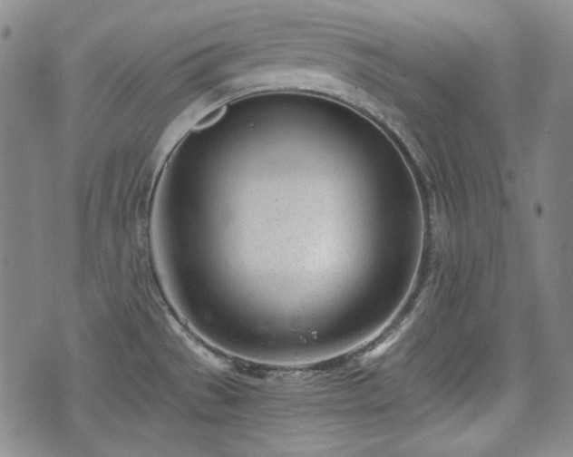 X0000073451529200608041015