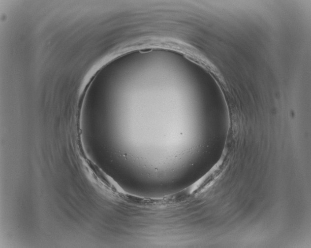 X0000073451530200608041015