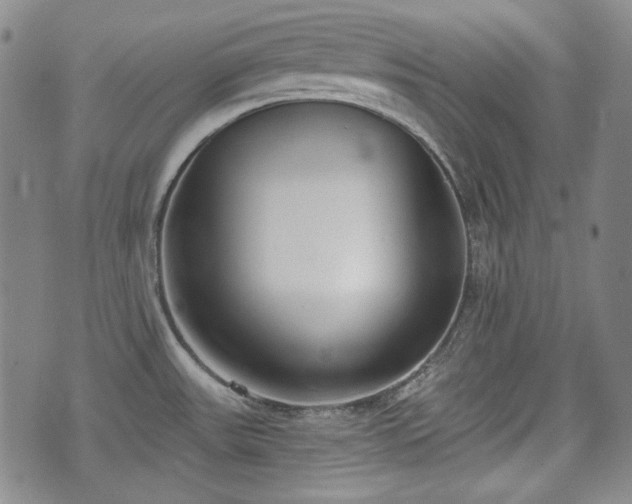 X0000073451531200608041015