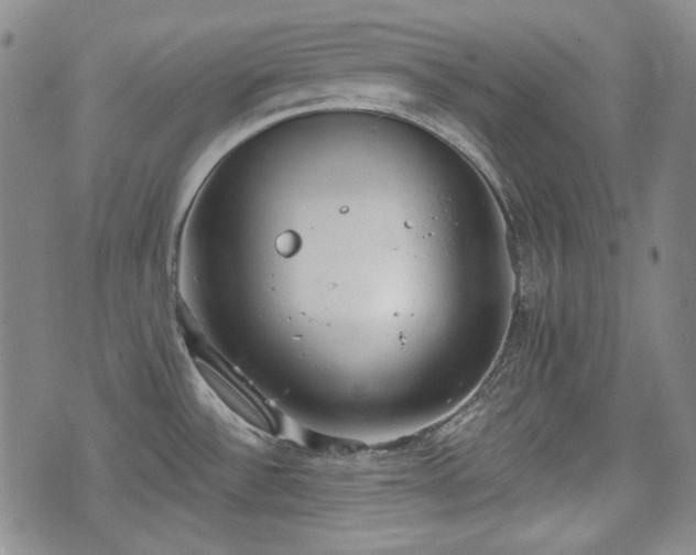 X0000073451532200608041015