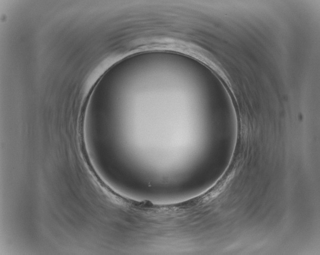 X0000073451533200608041015