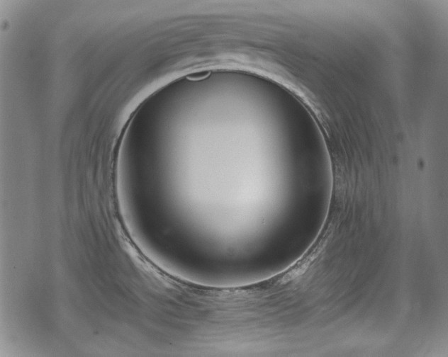 X0000073451534200608041015