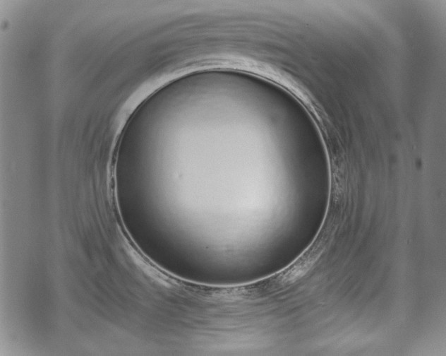 X0000073451535200608041015