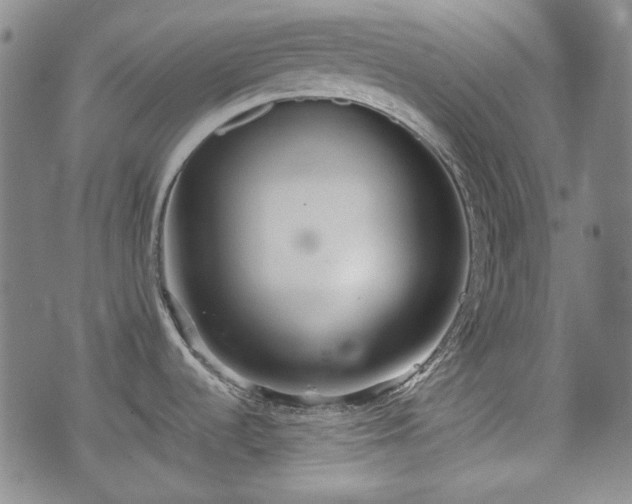 X0000073451536200608041015