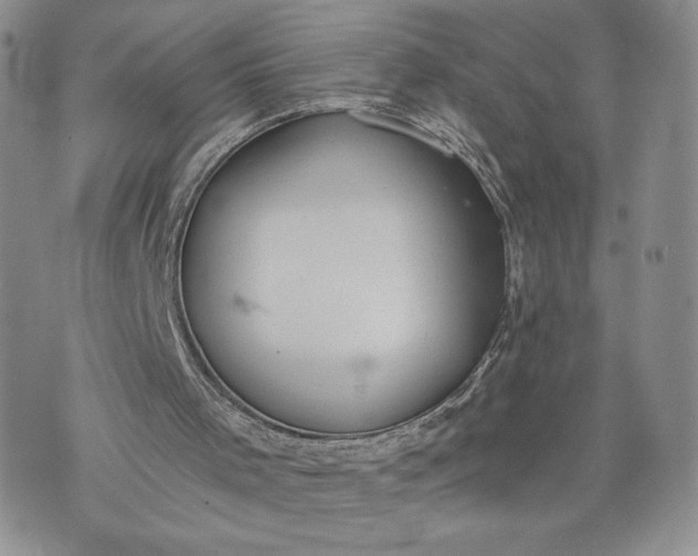 X0000073450001200608111402