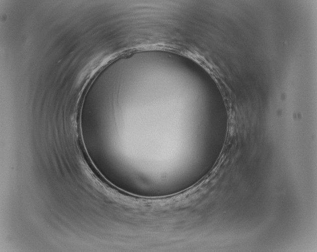 X0000073450002200608111402