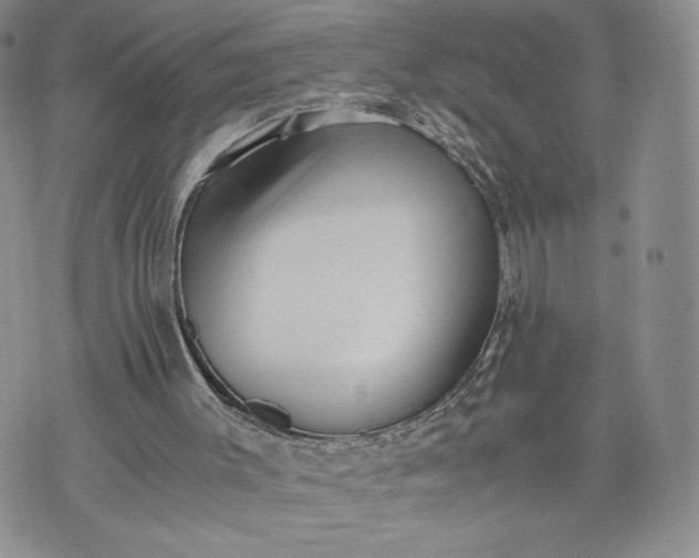 X0000073450003200608111402