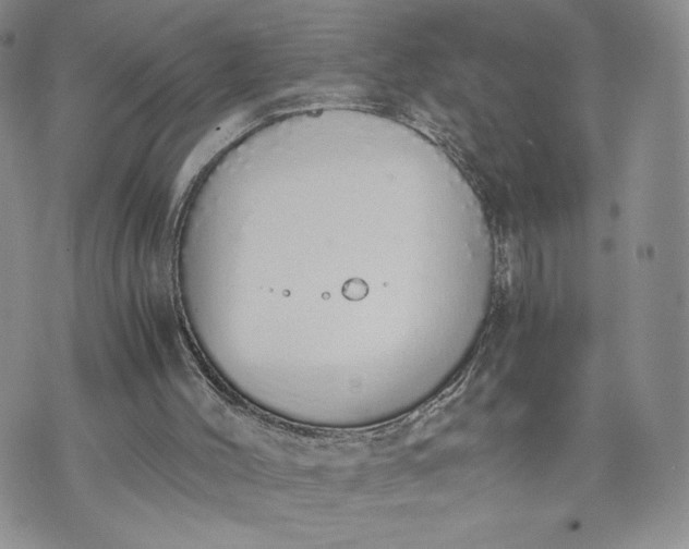 X0000073450004200608111402