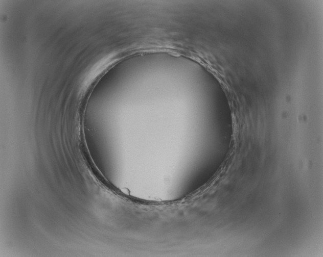 X0000073450005200608111402